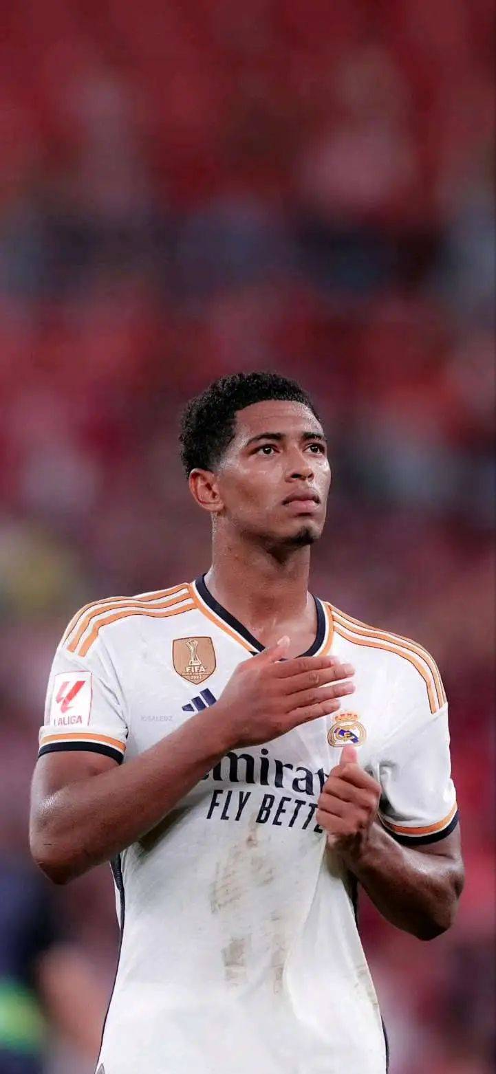 森林狼篮板保护极佳（森林狼篮板统治力十足）